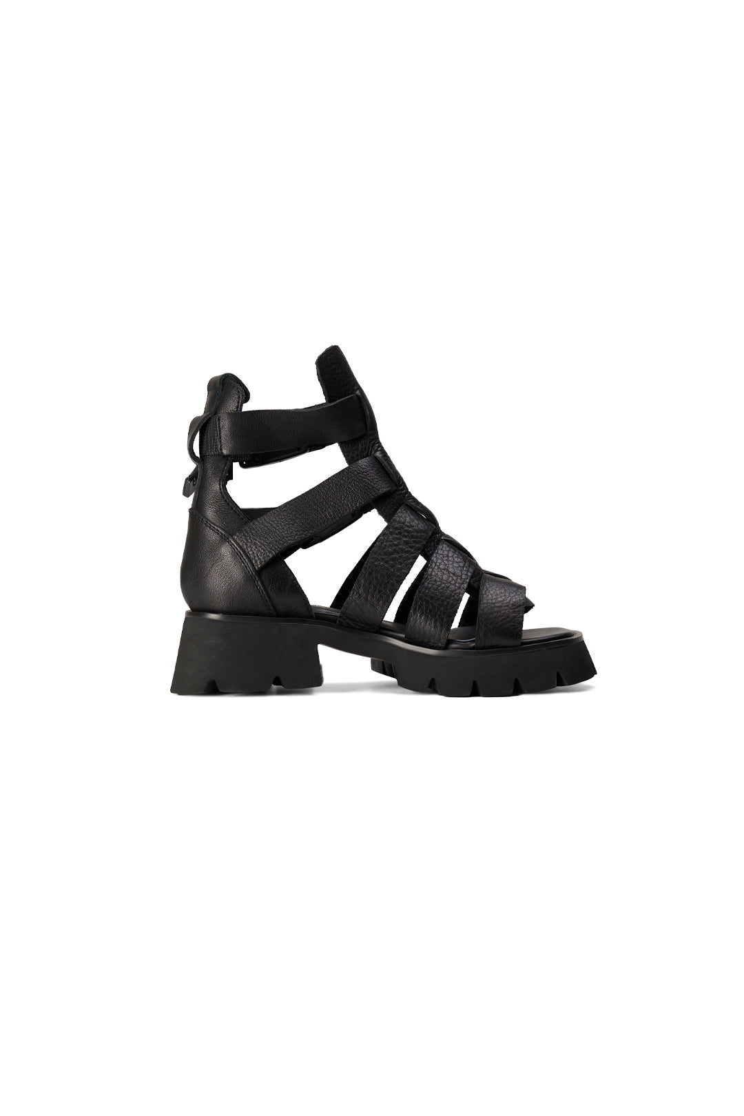 BLACKSUGAR UTILITY GLADIATOR SANDALS | BA23015